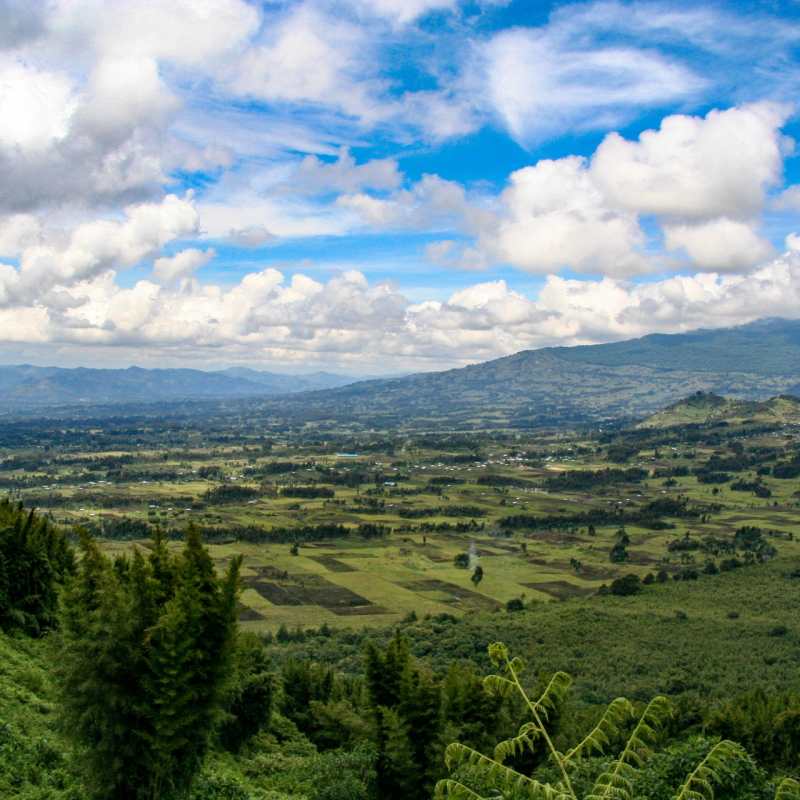 Rwanda View