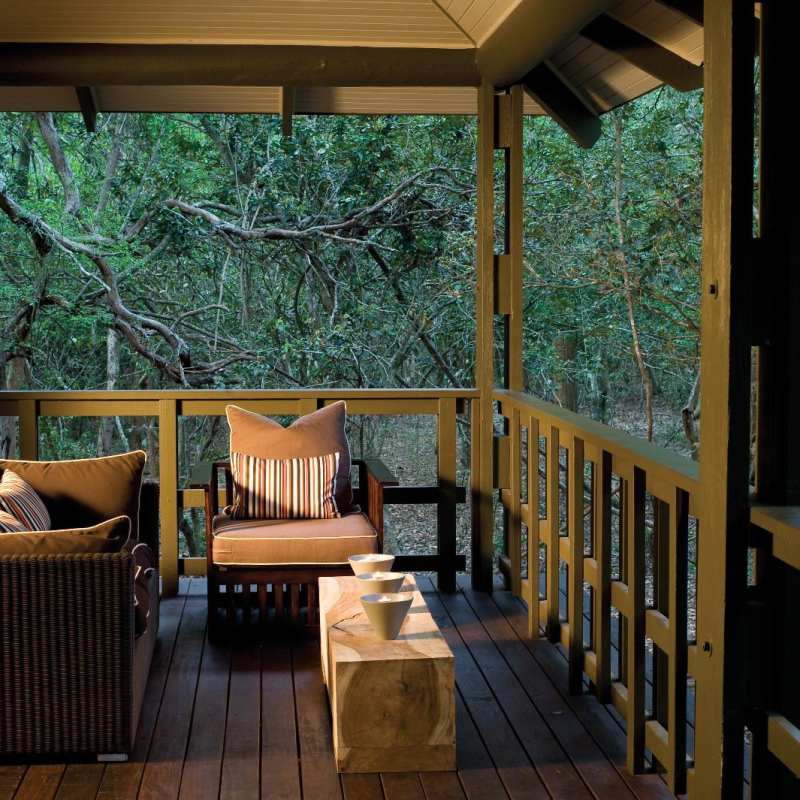 Phinda Forest Lodge