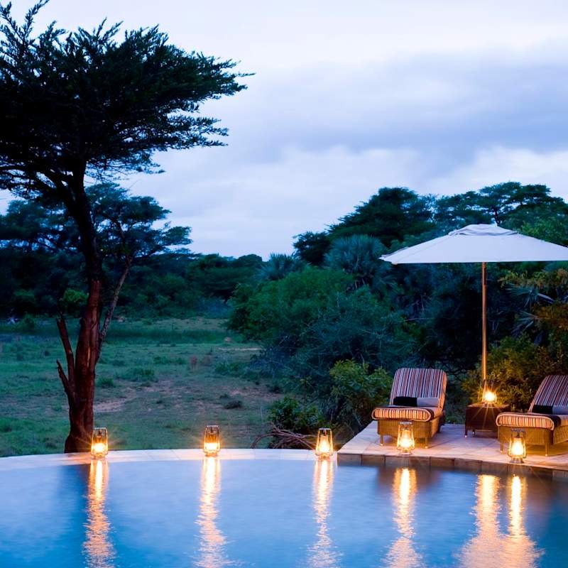 Pool - Phinda Forest Lodge