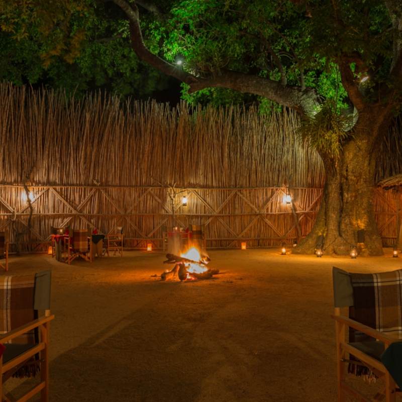 Boma Dinner 
