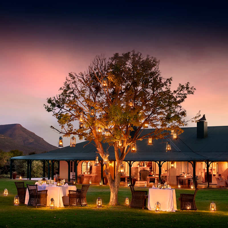 Lawn dinner 