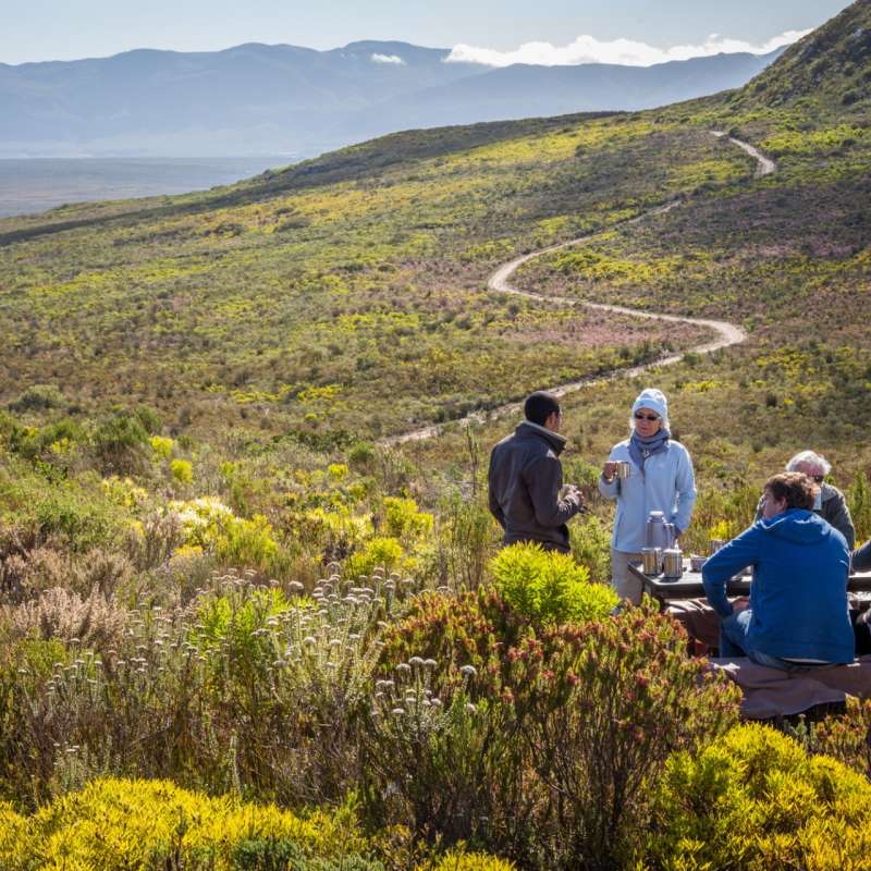 Grootbos picnic 