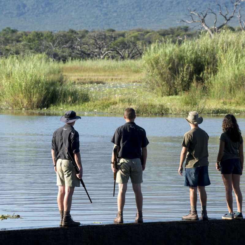 Walking safari at Marataba 