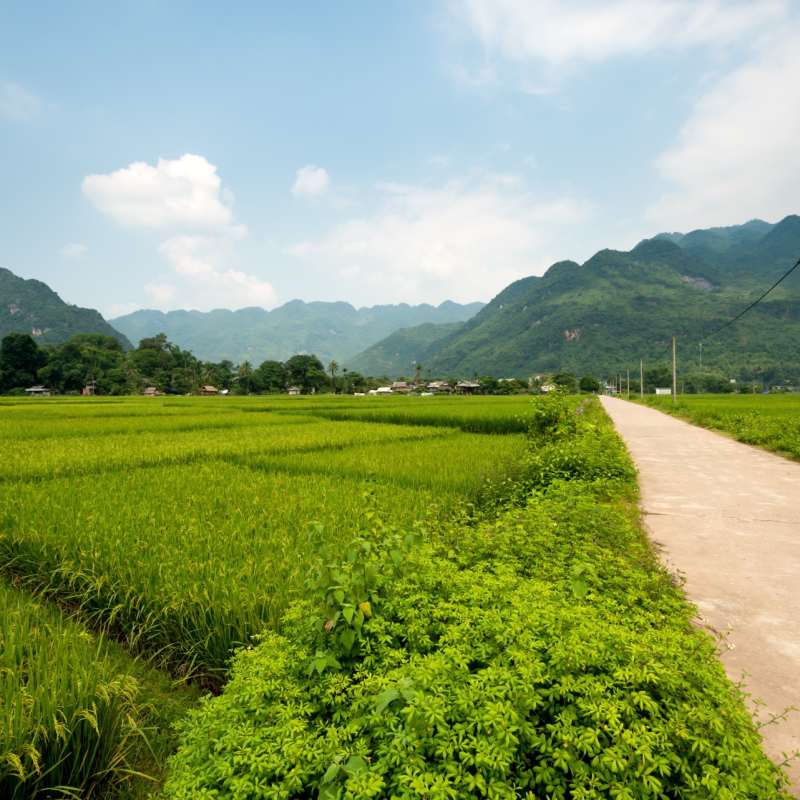 Mai Chau and Pu Luong 