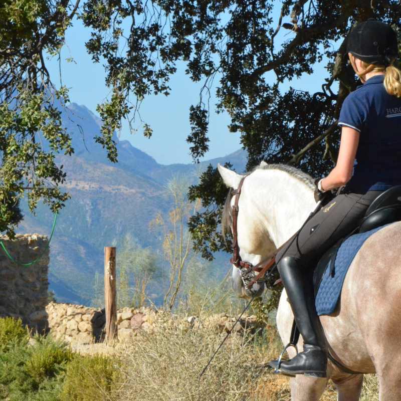 Horse riding - Finca La Donaira