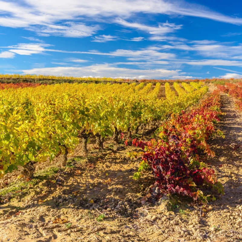 La Rioja - Indulgent escape to the Basque Country