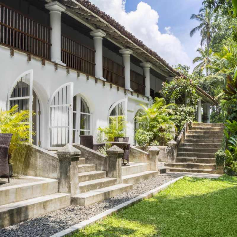 Garden - The Kandy House