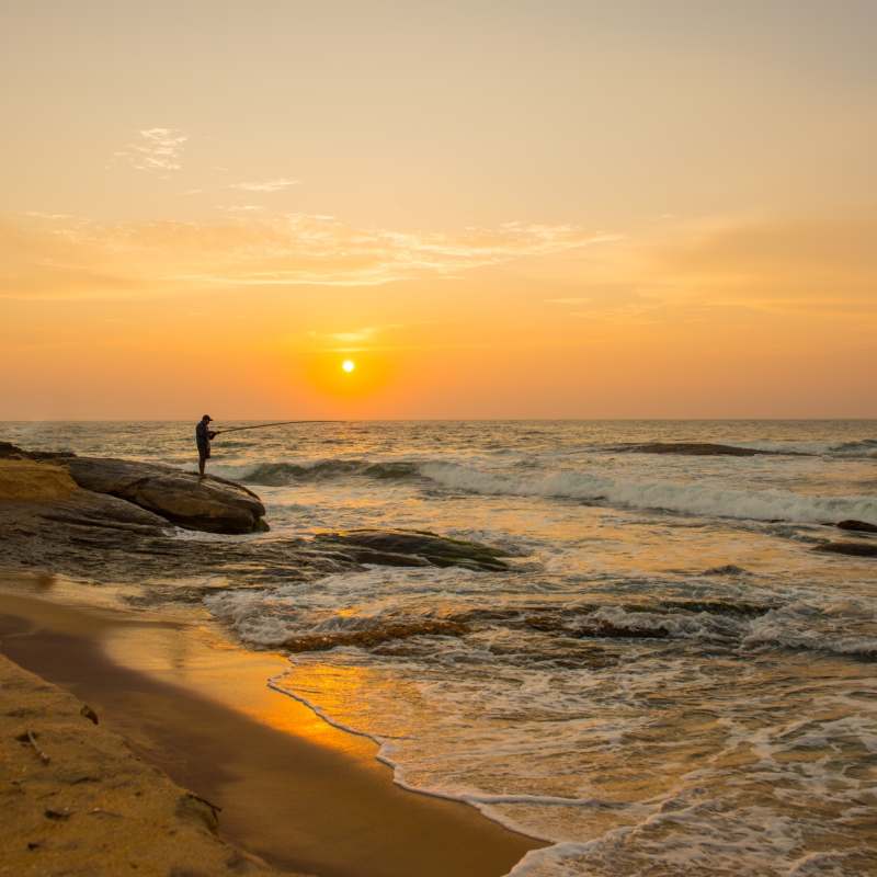 Beach near Chena Huts 