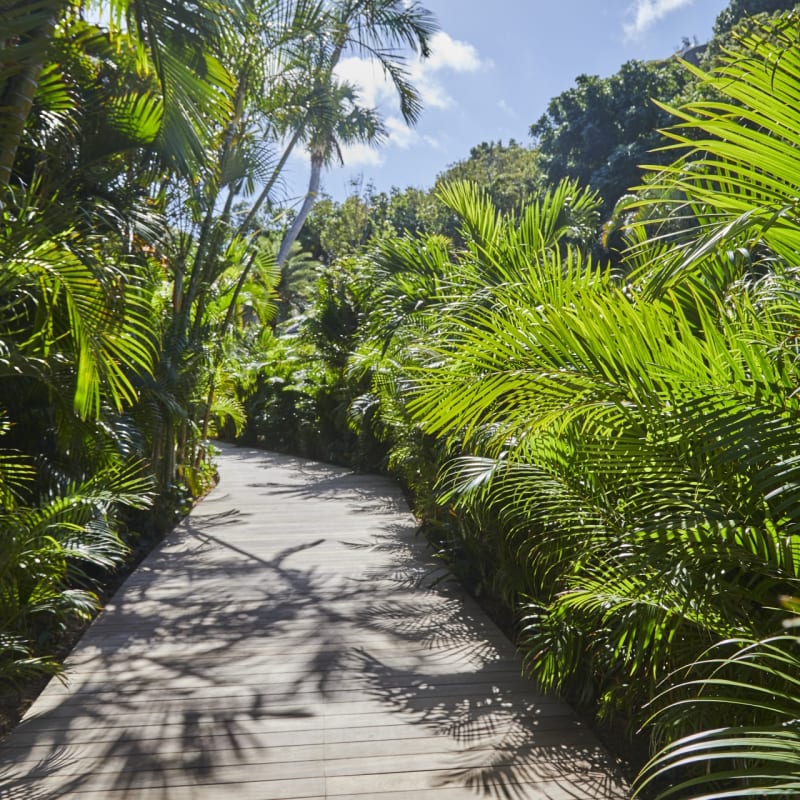 Deck in tropical gardens 