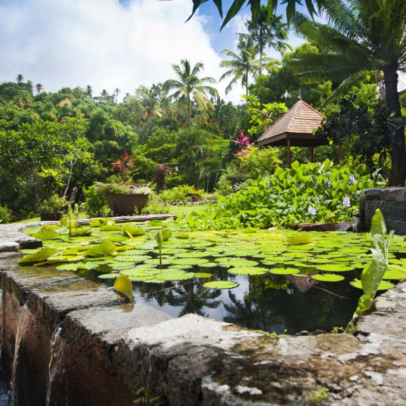 Gardens - Ladera