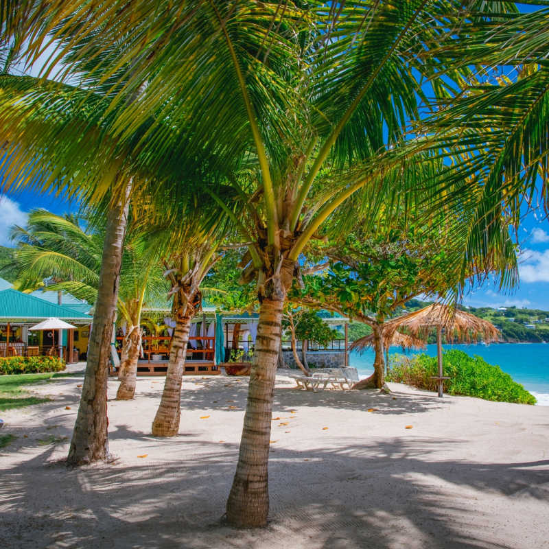 Beach and Gardens - Bequia Beach Hotel