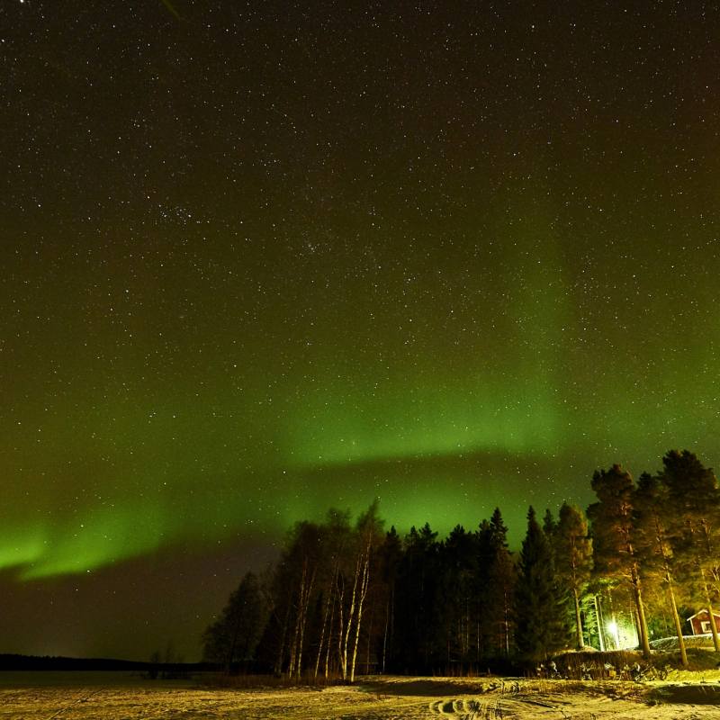 Northern Lights - Pine Bay Lodge