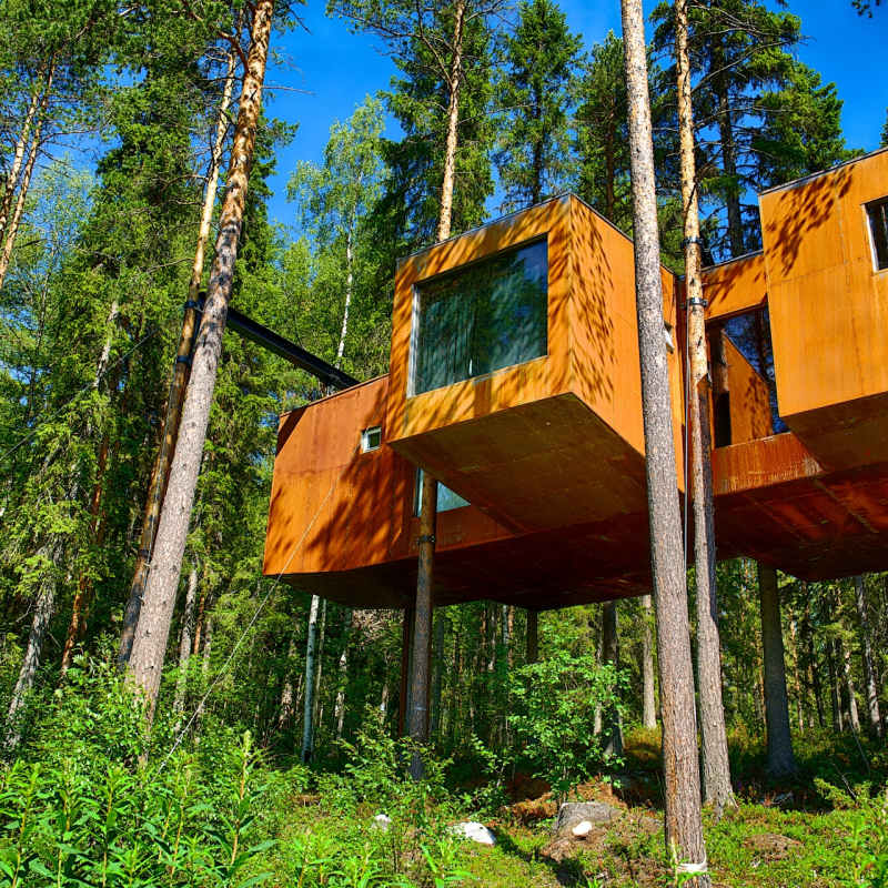 The Dragonfly - Treehotel