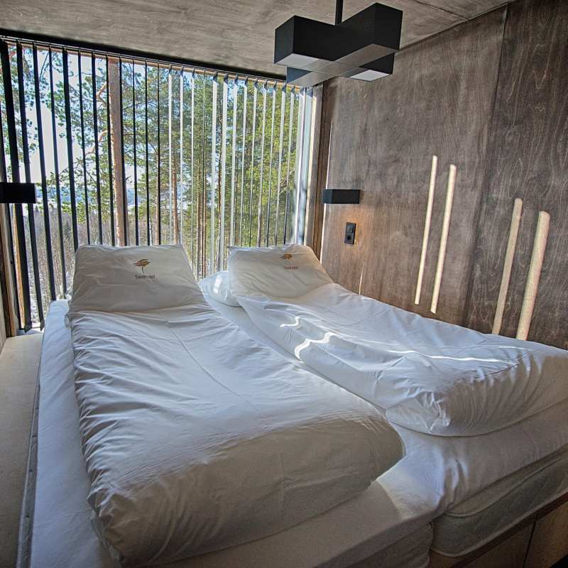 The Dragonfly interior - Treehotel