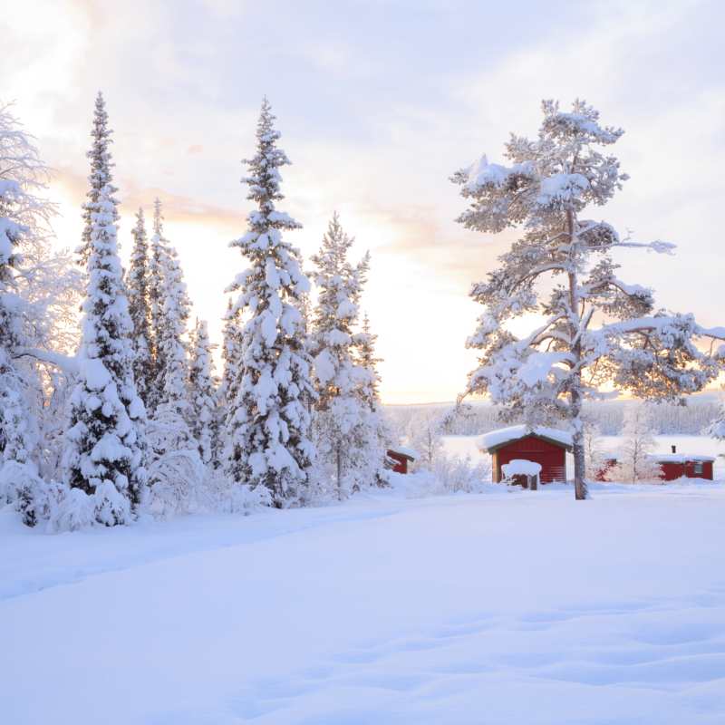 Lappish scenery - Swedish Lapland for families