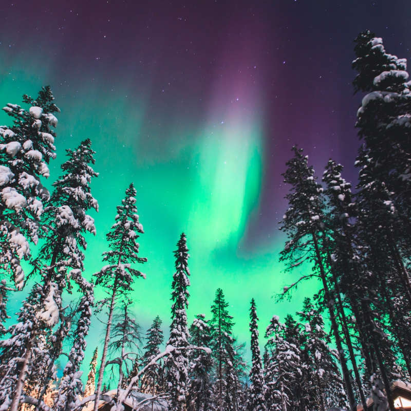Northern Lights - Swedish Lapland for families