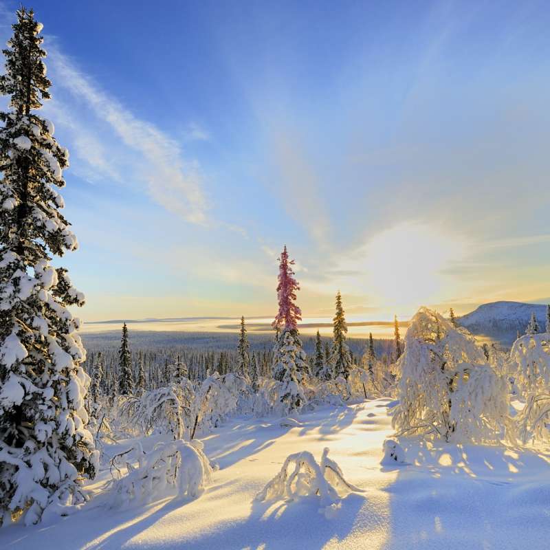 Lapland