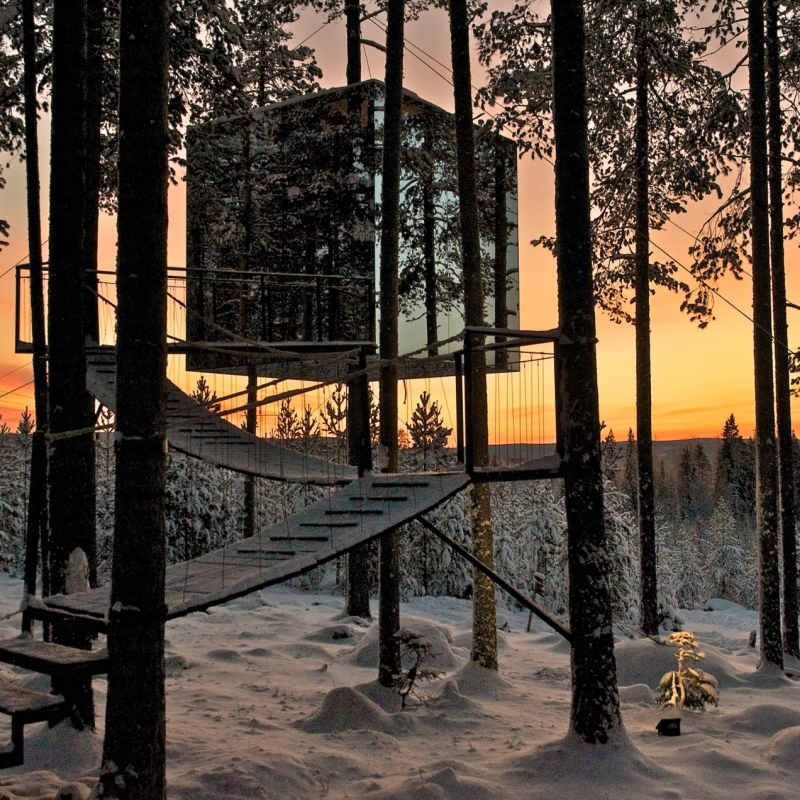 The Treehotel