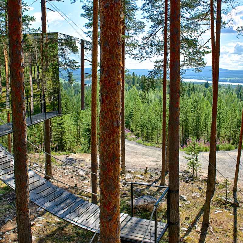 Scenery surrounding the Treehotel