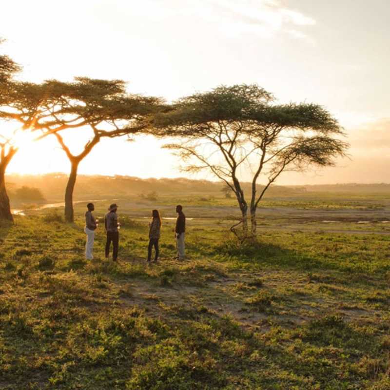 Sundowners - Serengeti Under Canvas