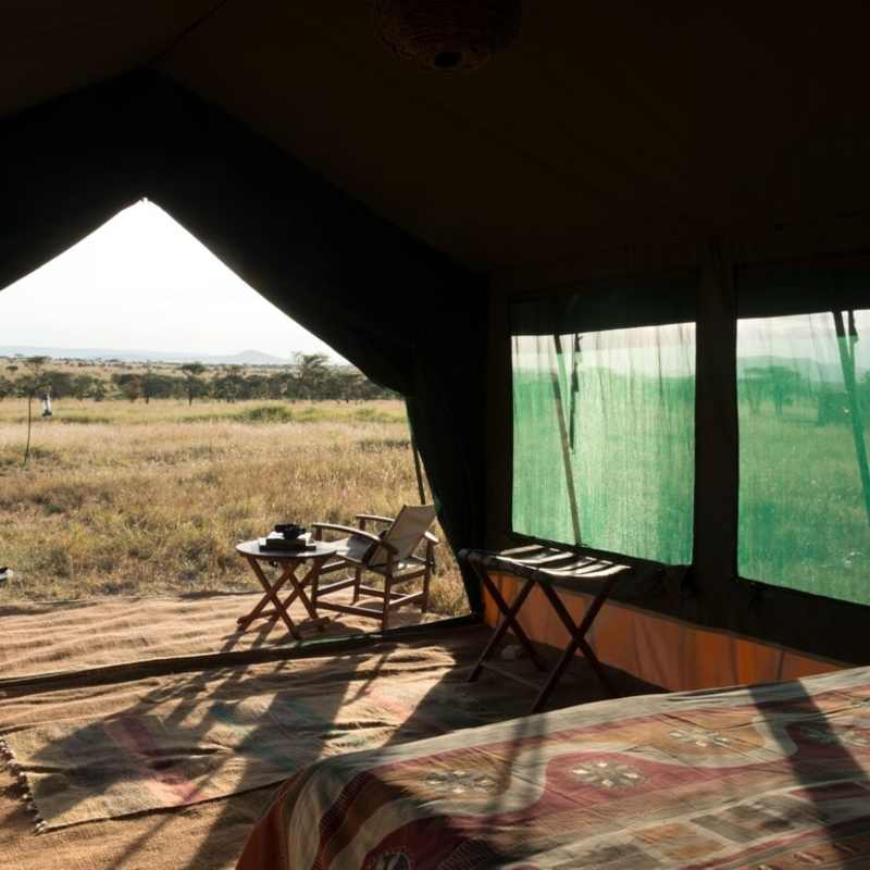 View from tents 