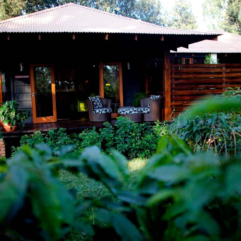 Tent exterior - Arusha Coffee Lodge