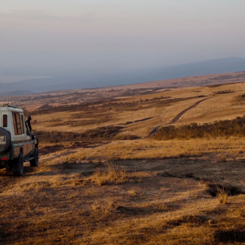 Game drives - Entamanu Ngorongoro