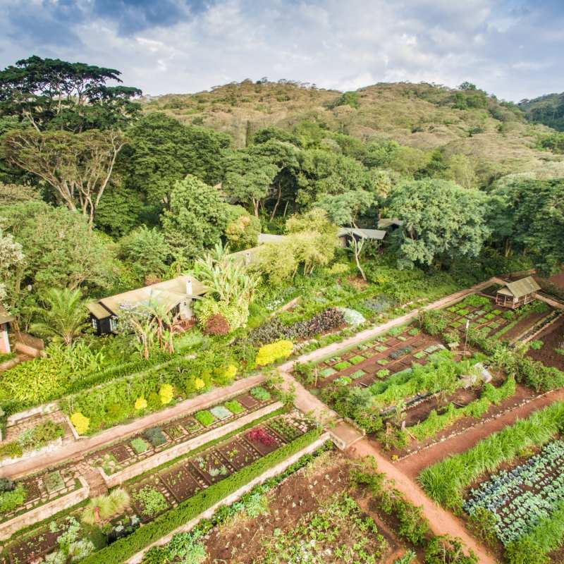 The gardens at Gibbs Farm 