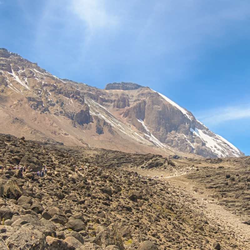 Kilimanjaro - Lemosho Route