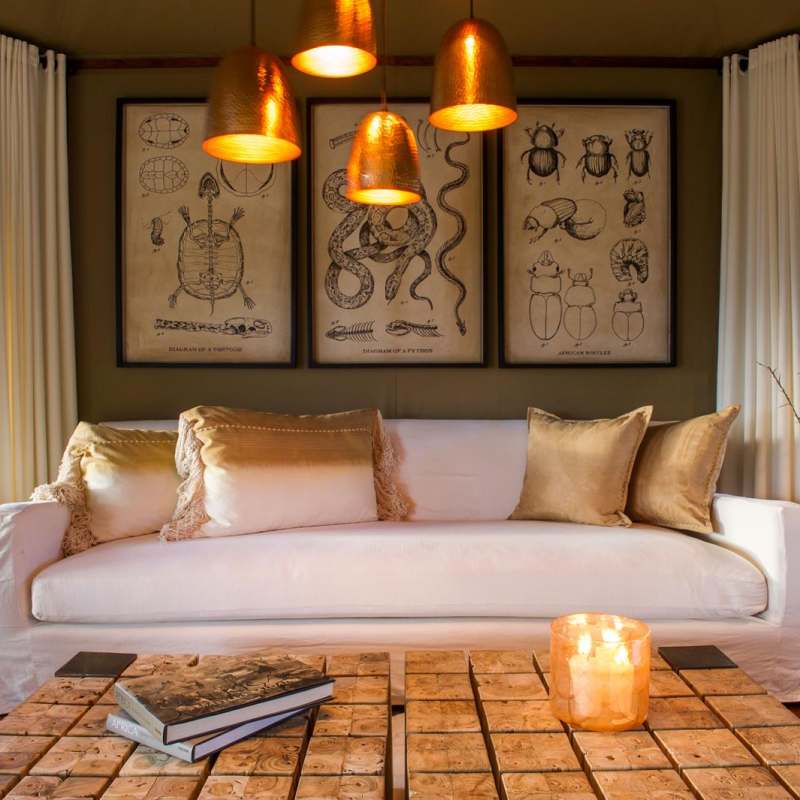 Tent lounge area - Mwiba River Lodge