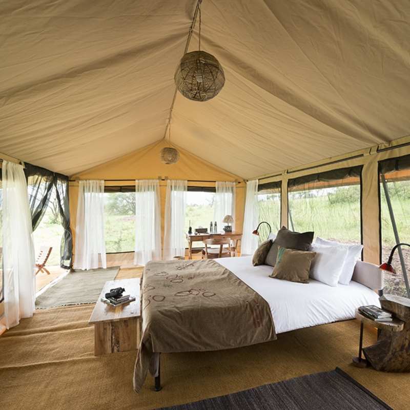 Interior Tent 