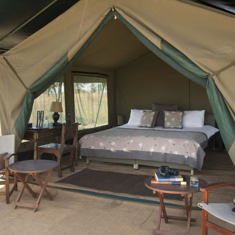 Tent 