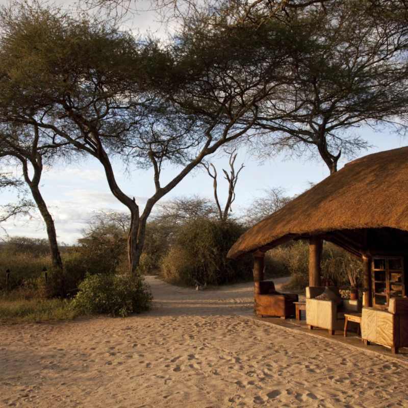 Lounge area - Oliver's Camp