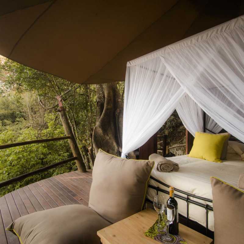 Treehouse sleepout - Rubondo Island Lodge