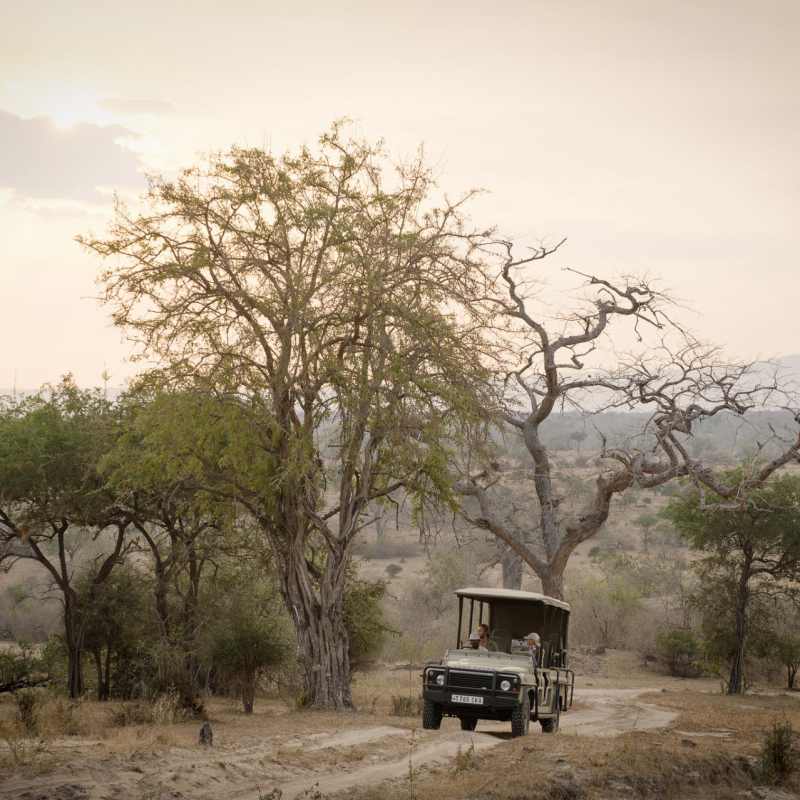 Safari in the Selous 