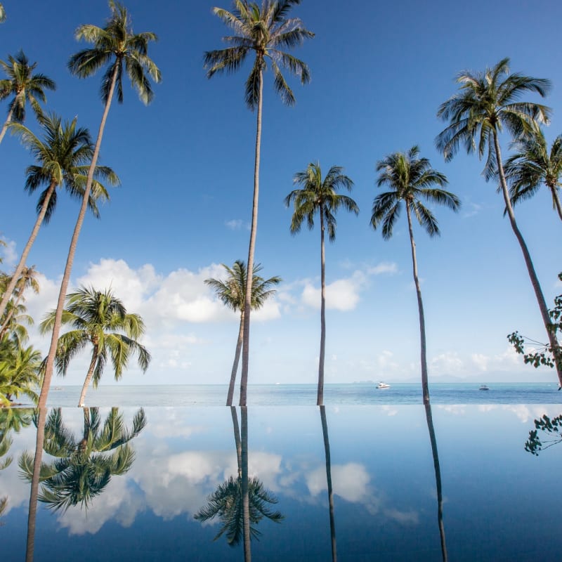 Main Pool - Four Seasons Koh Samui