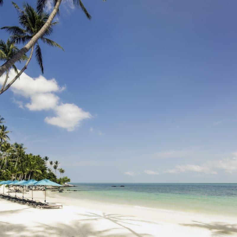Beach - Four Seasons Koh Samui
