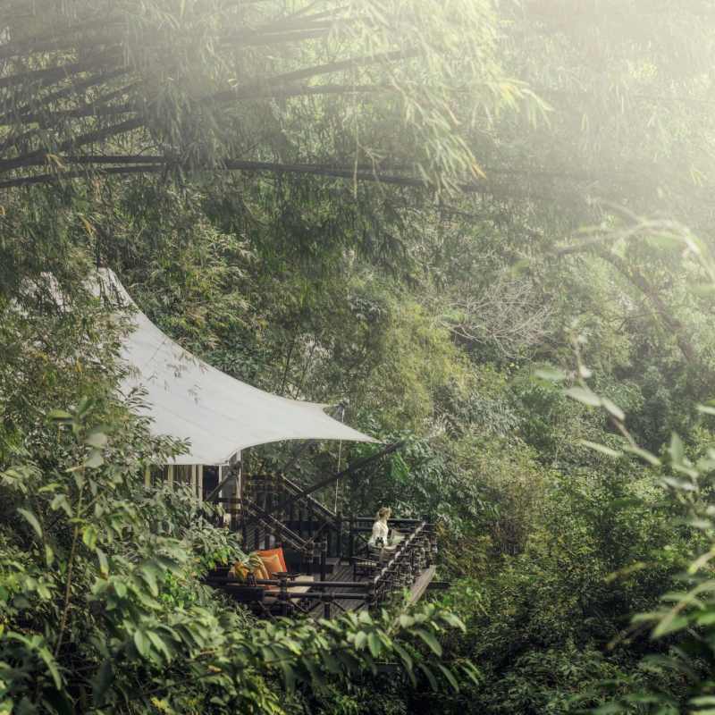 Superior Tent - Four Seasons Tented Camp Golden Triangle