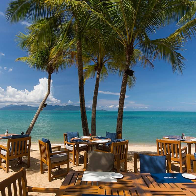 Beach Dining 
