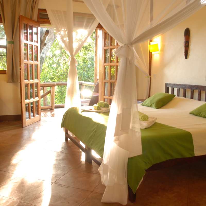 Avocado room at Karibu Guest House - Karibu Guest House