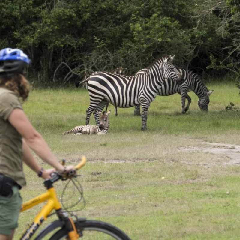 Bike Safari - Mihingo Lodge