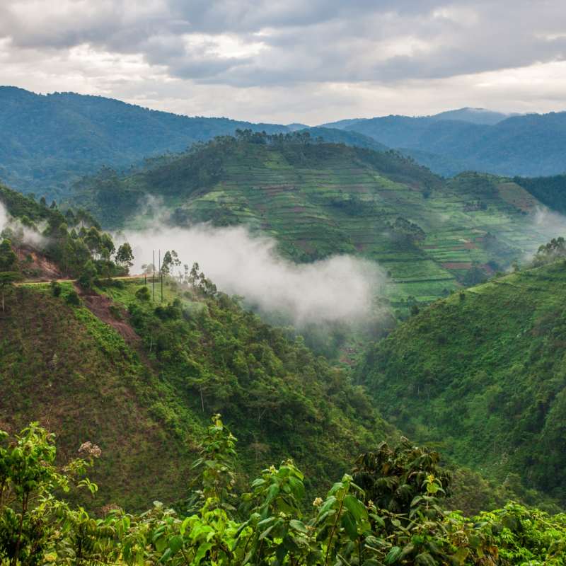 Bwindi - Ultimate Uganda