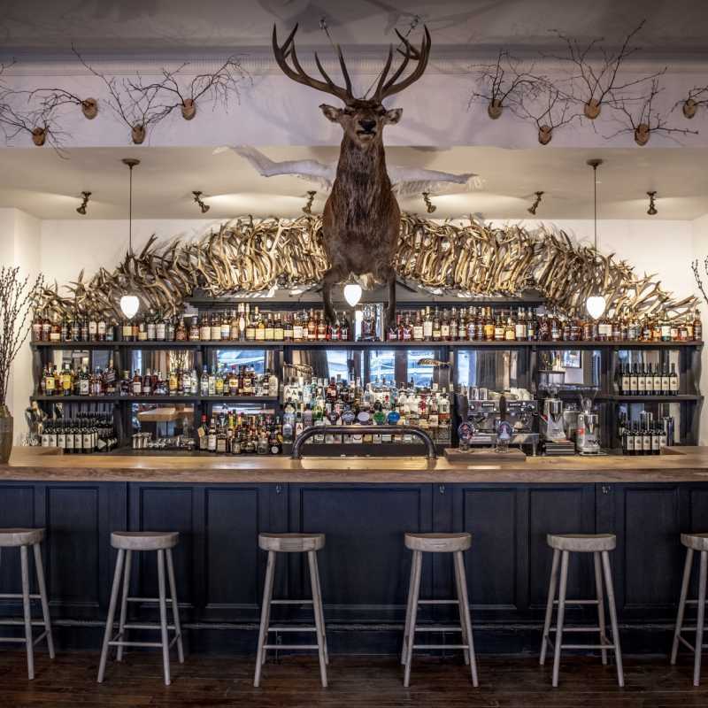 The Flying Stag 