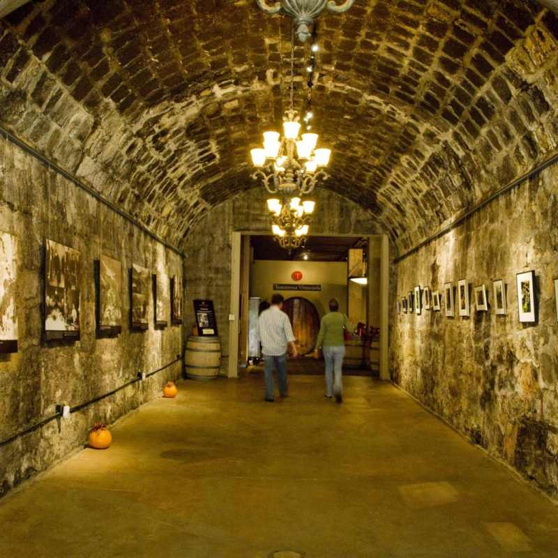 Wine country - El Encanto