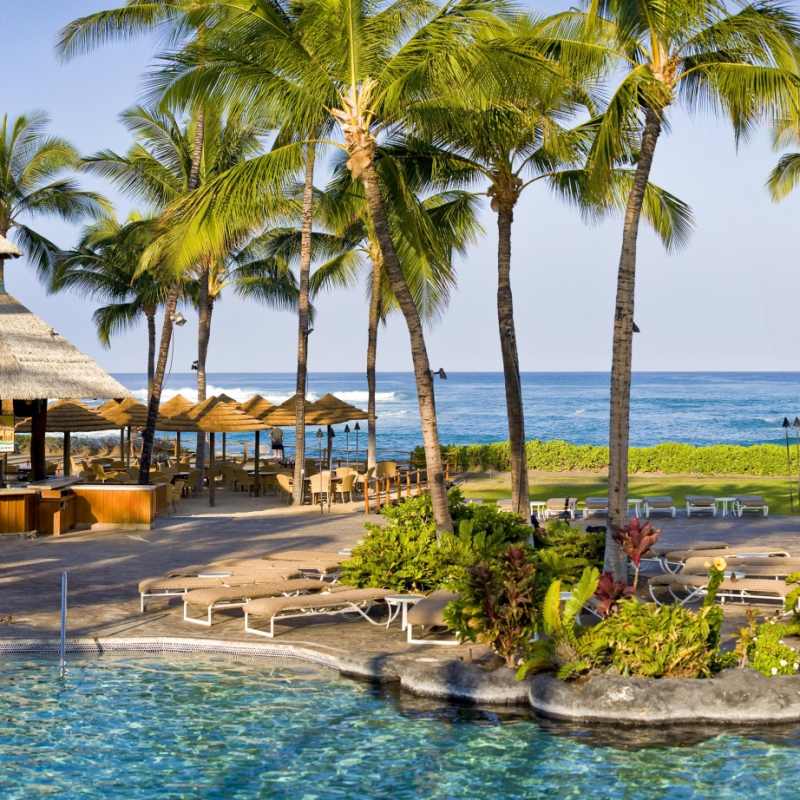 Pool - Fairmont Orchid