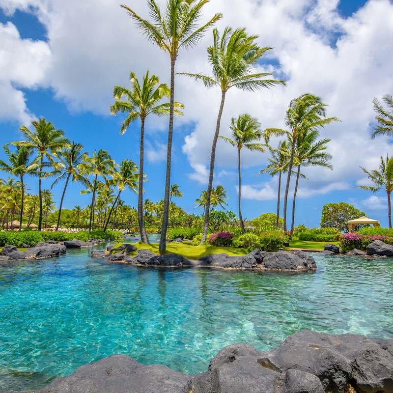 Saltwater Lagoon - Grand Hyatt Kauai Resort and Spa 