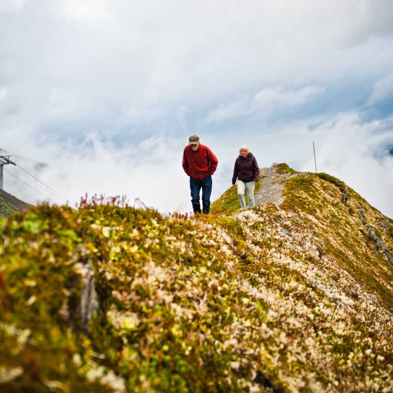 Exploring - The Hotel Alyeska