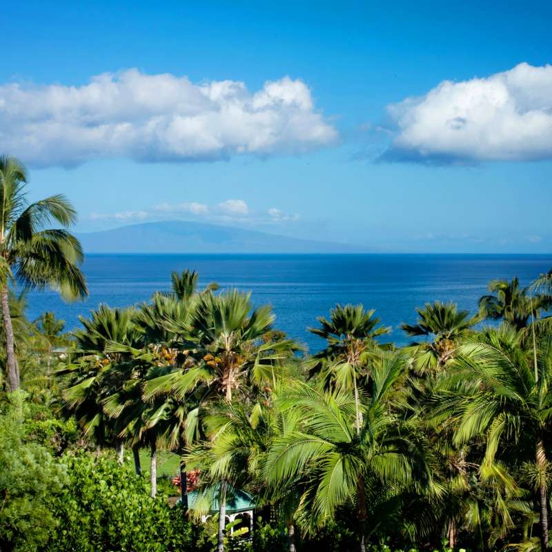 Hotel Wailea Oceanview 