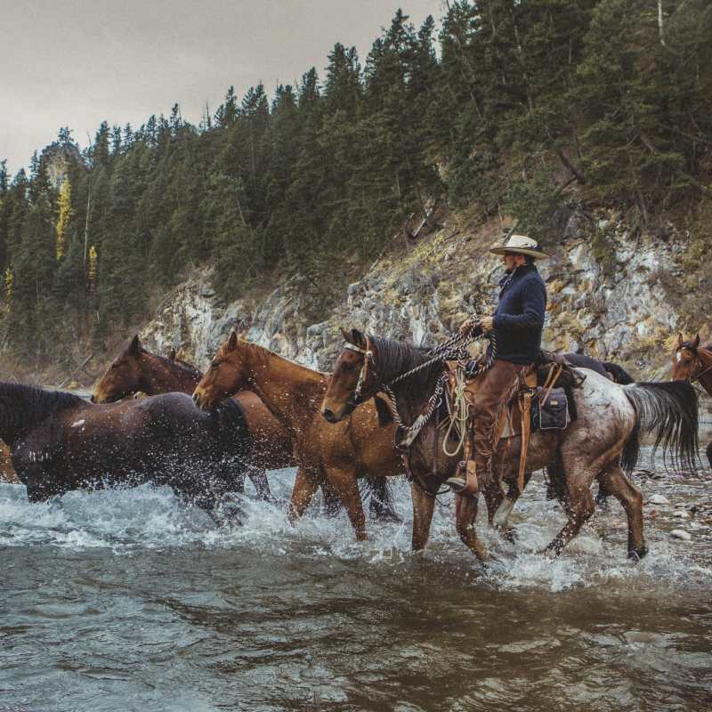 Horse Riding - The Green O 