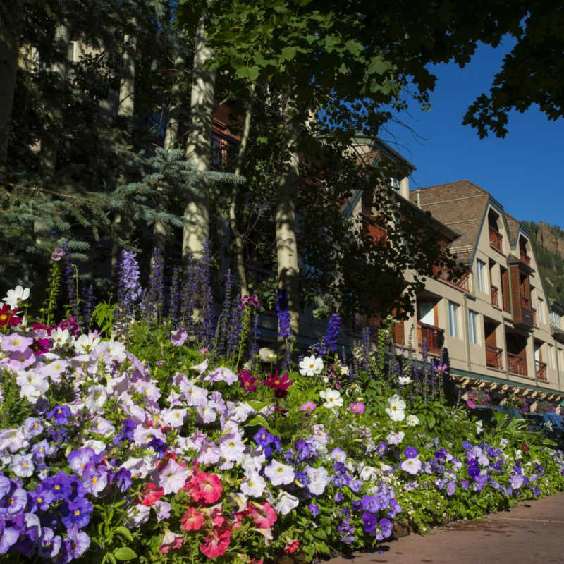 Summer at The Little Nell - The Little Nell, Aspen